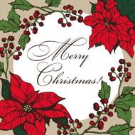 christmas star 4