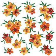 picture of Hibiscus N13