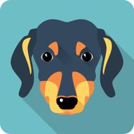 dog dachshund icon flat design
