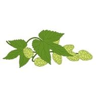 hop plant with leafs N2