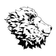 Lion Head N14