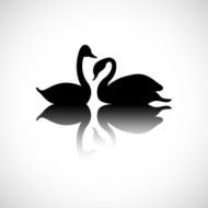Silhouette of swans