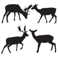 Vector silhouettes of animals N3