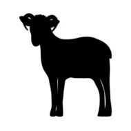 Silhouette of a sheep N2
