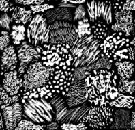 strokes pattern N2
