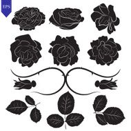 Set of different flower and leaves roses vector N2