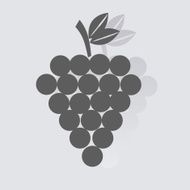 Grapes N16