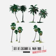 coconut and palm tree in realistic style - vector