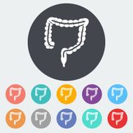 Intestines icon