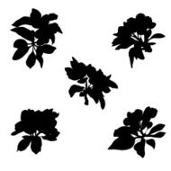 Apple flowers silhouettes N2