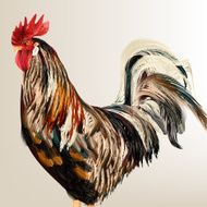 Vector realistic cock