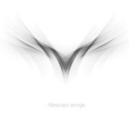 Abstract wings