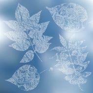 Vector collection of leaf silhouettes leaves N7