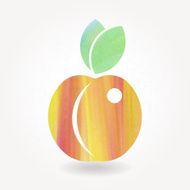 Watercolor orange peach icon