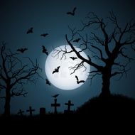 Halloween Night N47