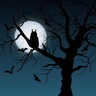 Halloween Night N48