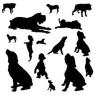 Vector silhouettes of different dogs