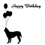 happy birthday N597
