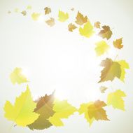 Autumn background with leaves N45
