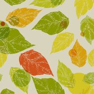 autumn leaf background N42