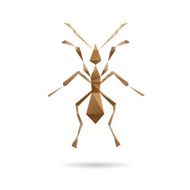 Ant abstract isolated on a white backgrounds vector illustration N3