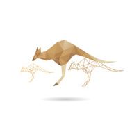 Kangaroo abstract isolated on a white backgrounds vector illustration N4