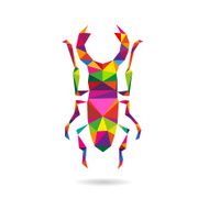 Beetle abstract isolated on a white backgrounds vector illustration N5