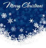 Snowflakes Merry Christmas Card N5