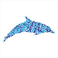 vector dolphin