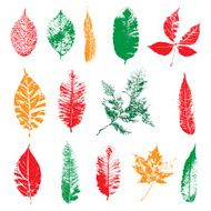 Leaf silhouette collection foliage set N5