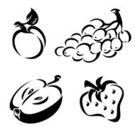Fruit N14