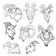 Set of goat hand drawn vector illustration N2