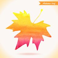 Watercolor colorful vector leaf Vector illustration