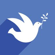 Peace Dove With Shadow