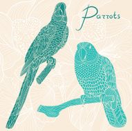 Two parrots Vector illustration
