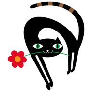 Black cat with flower