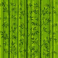 Bamboo Forest Background