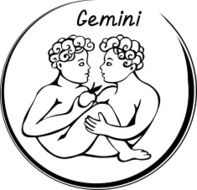 Gemini N18