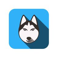 Alaskan Malamute animal face ui flat design