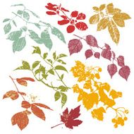 Autumn Branches Silhouette Set