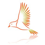 Canary Vector illustration