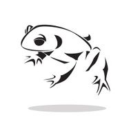 Frog N24