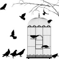 Birdcage and birds