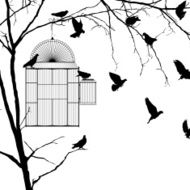 Bird cage silhouettes