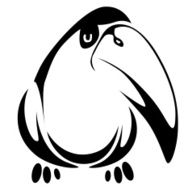 Funny toucan N2