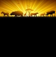African life N4