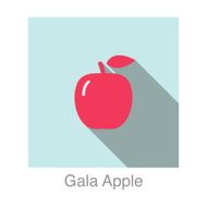 Gala apple food and drink flat icon series