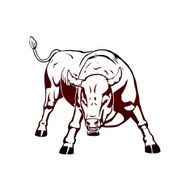 Bull N12