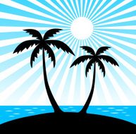 Silhouette of palms N2