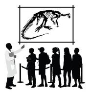 StudyingDinosaurs N2